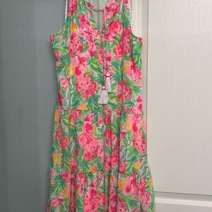 Lilly Pulitzer Pink and Green Floral Dress